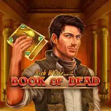 Book of Dead online slot from Play'n GO – play at lebullpolska.com